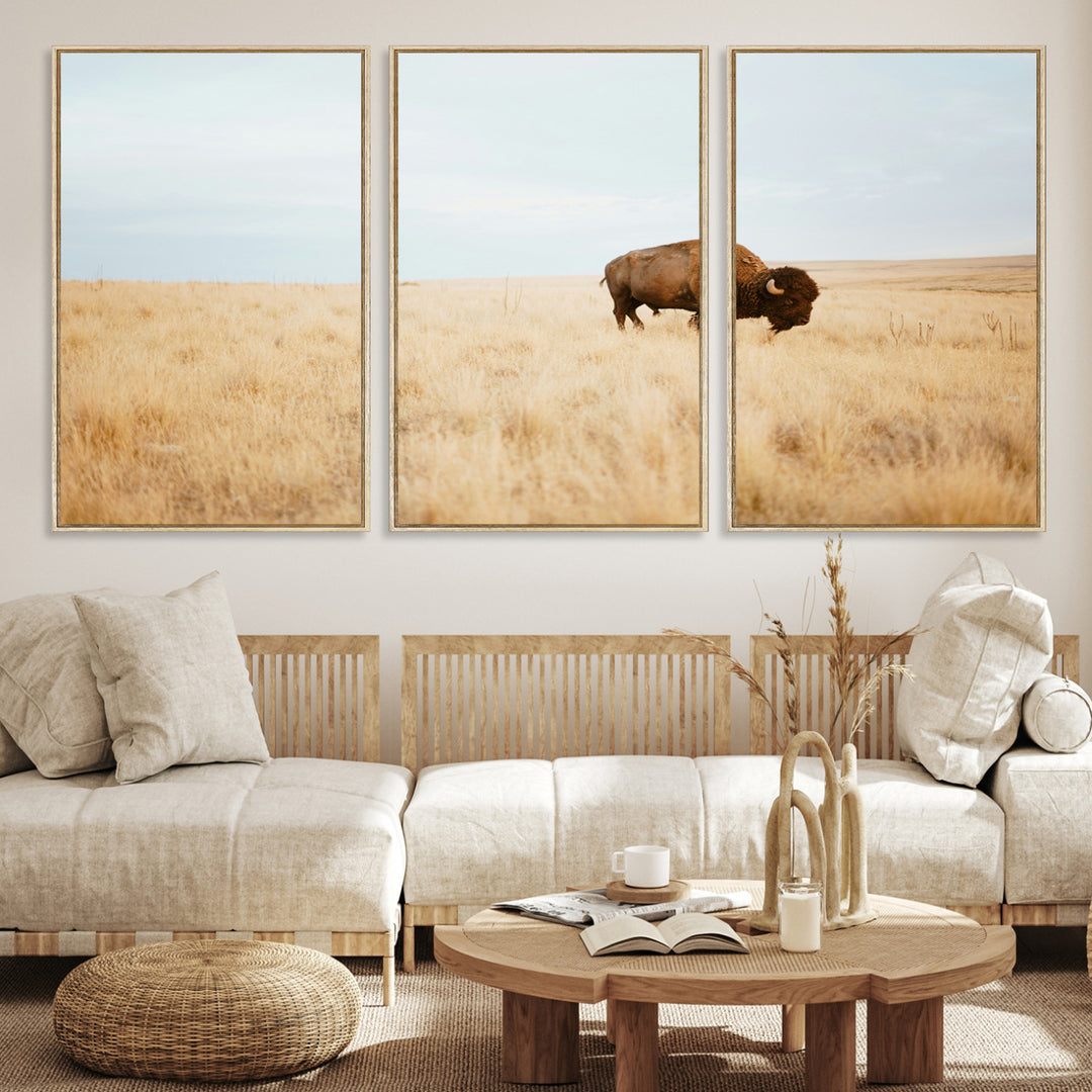 A lone bison standing in a vast golden grassland under a soft blue sky, evoking a rustic and Western aesthetic, ideal for farmhouse decor.