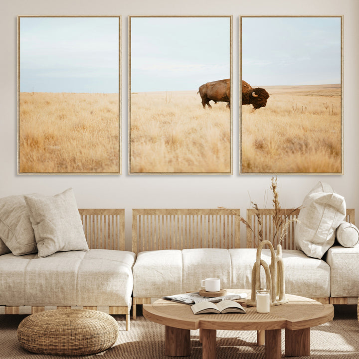 A lone bison standing in a vast golden grassland under a soft blue sky, evoking a rustic and Western aesthetic, ideal for farmhouse decor.