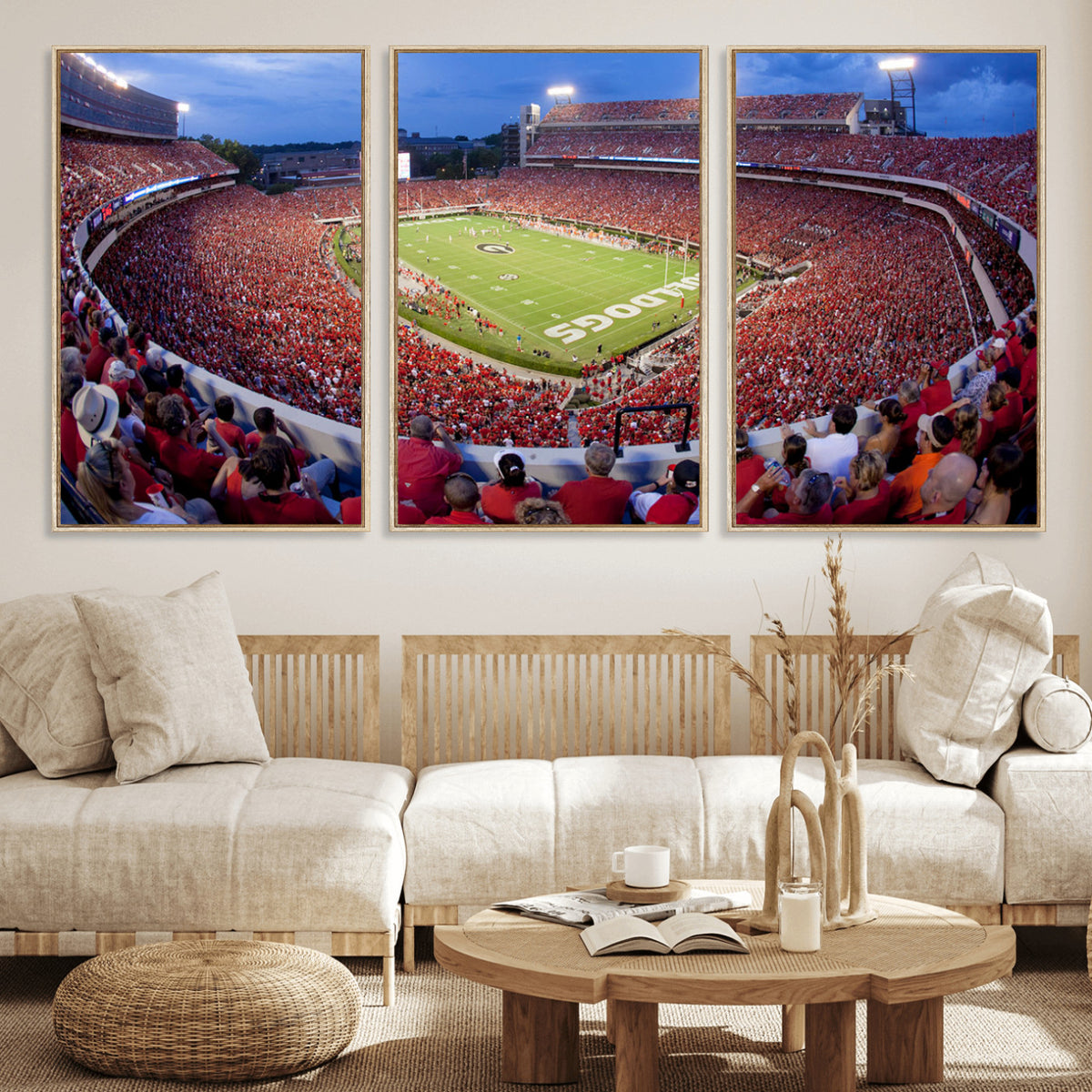10244378-MGV-CV-36X24 - Dooley Stadium Wall Art, Sports Arena Canvas Print, Dooley Field, Home Bar Wall Decor