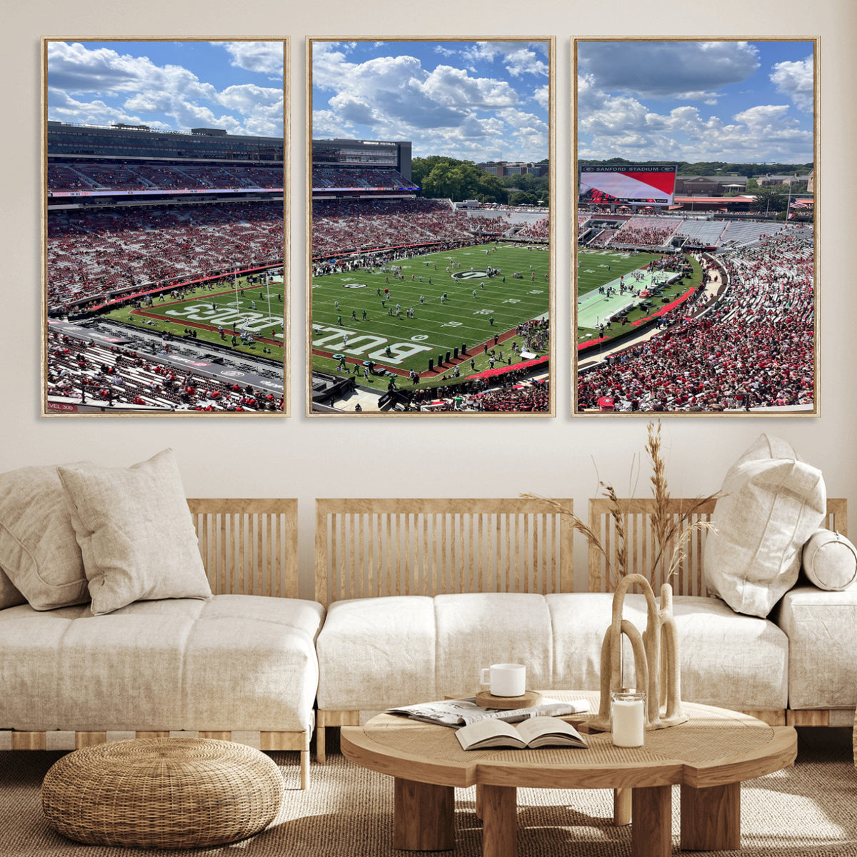 10665453-MGV-CV-36X24 - Georgia Bulldogs Stadium Wall Art Canvas Print, Sanford, Framed and Ready to Hang