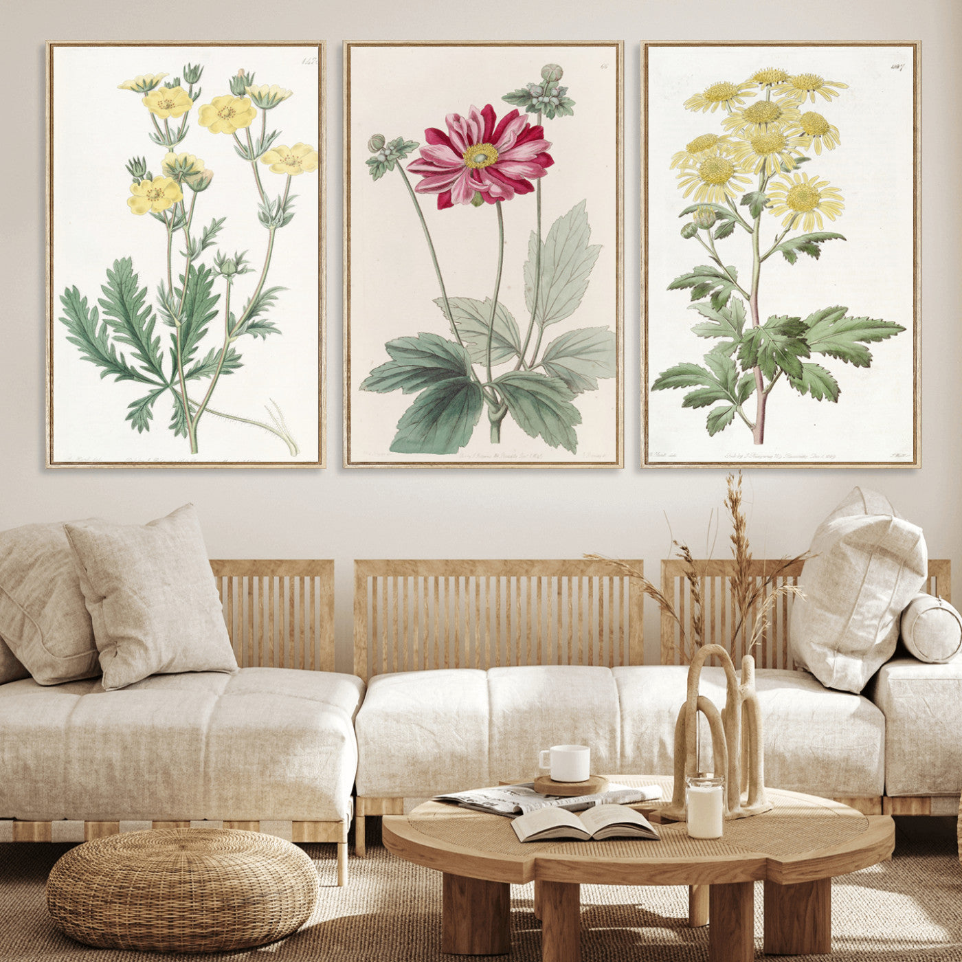 17622011MF-MGV-CV-60X30-3P - Antique Botanical Canvas Wall Art, Victorian Flower Illustration Triptych Print, Cottagecore Vintage Botanical Decor