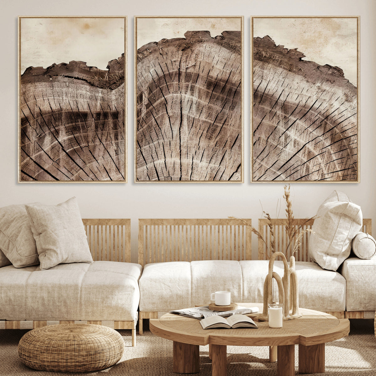 91280382-MGV-CV-60X30-3P - Tree Ring Canvas Wall Art in Neutral Earth Tones, Framed Wood Slice Print for Rustic and Japandi Interiors