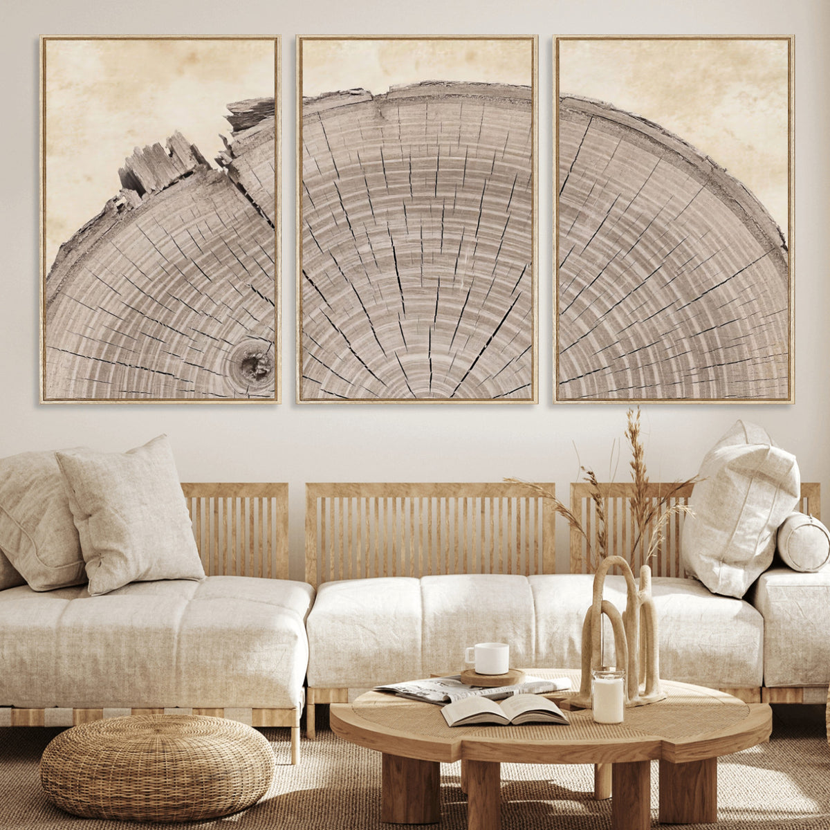 64174838-MGV-CV-60X30-3P - Tree Ring Canvas Wall Art in Neutral Earth Tones, Framed Wood Slice Print for Rustic and Japandi Interiors
