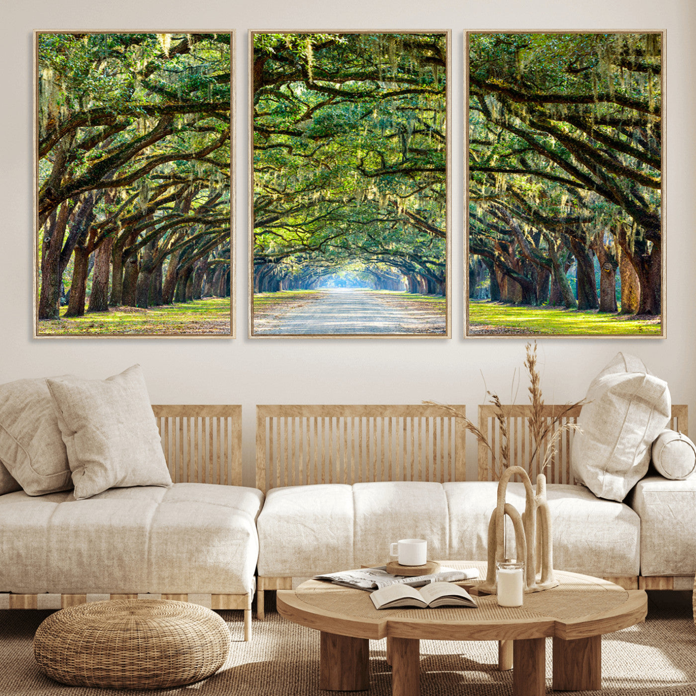 MGV-FC-60X30-3P - Wormsloe State Plantation Driveway Wall Art Canvas Print