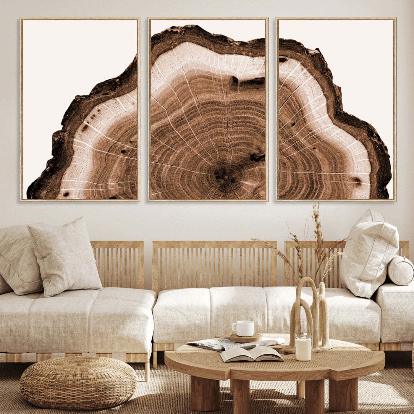 45195-MGV-FC-60X30-3P_Natural-Rustic Wood Rings Wall Art | Nature-Inspired Tree Ring Canvas Print | Ready to Hang and Framed for