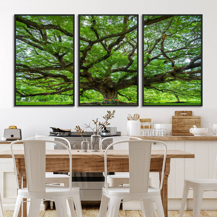Framed Angel Oak Tree print featuring sprawling branches and ribbons against a clear sky backdrop, ideal for home or office decor.