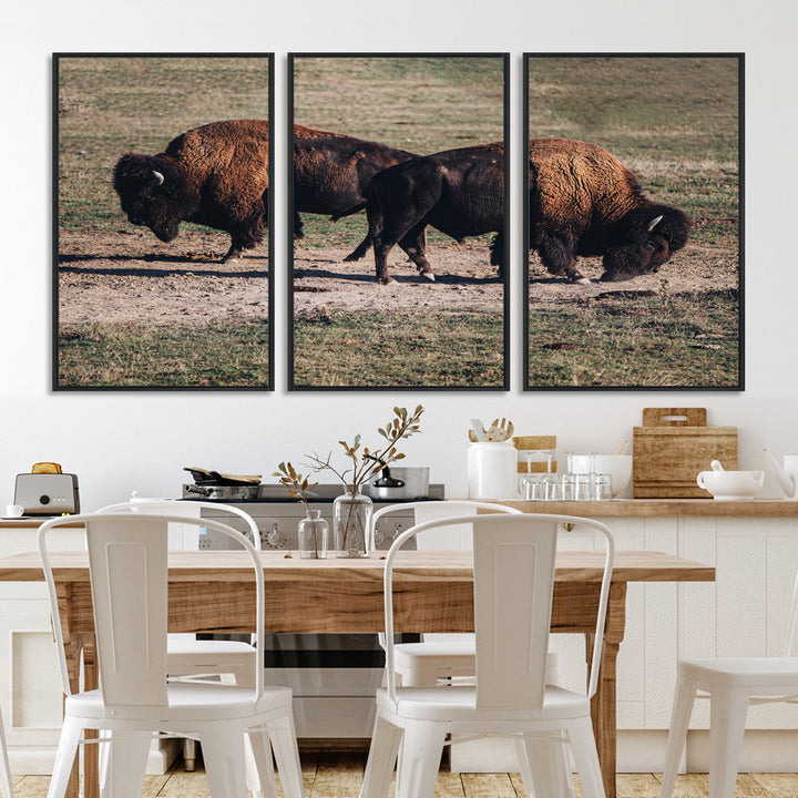 Bison Photography Wall Art Canvas Print, Framed Western Wildlife Art Picture Print, Modern Ranch Perfect Western Rustic Decor Artwork