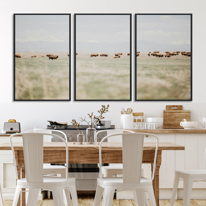 Bison Herd Wall Art Canvas Print, Framed Western Art Picture Print, Bison Perfect Ranch Decor Artwork