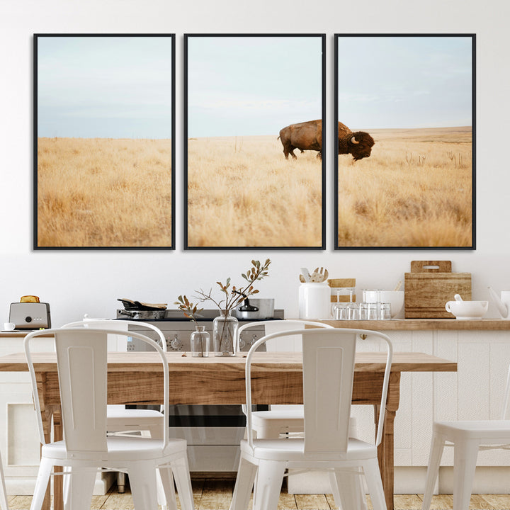 A lone bison standing in a vast golden grassland under a soft blue sky, evoking a rustic and Western aesthetic, ideal for farmhouse decor.