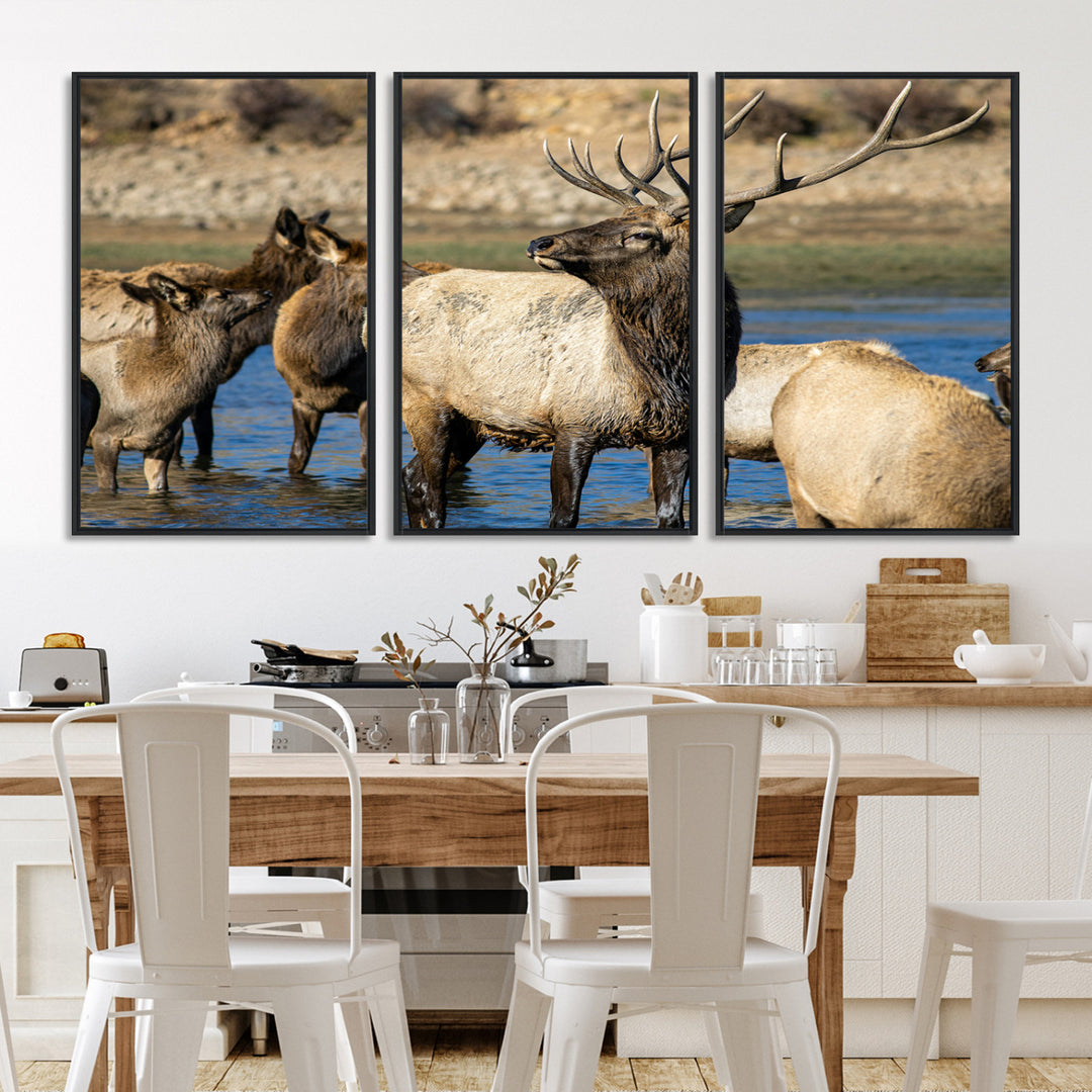 Group of elk standing in shallow water with dry rocky terrain in the background, showcasing wildlife in a natural setting for rustic decor.