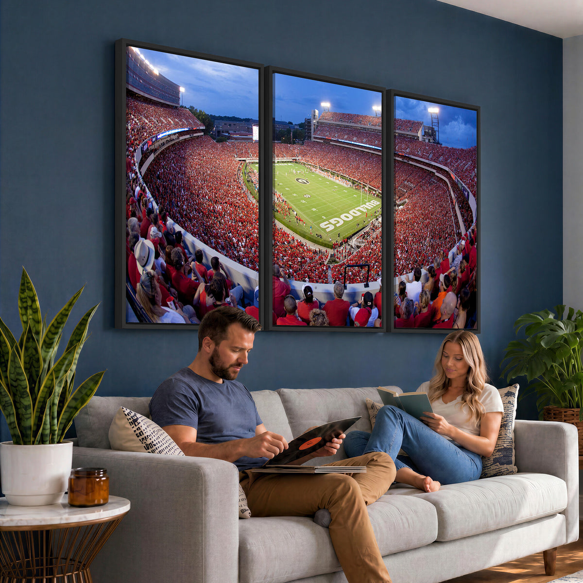 10244378-MGV-CV-36X24 - Dooley Stadium Wall Art, Sports Arena Canvas Print, Dooley Field, Home Bar Wall Decor
