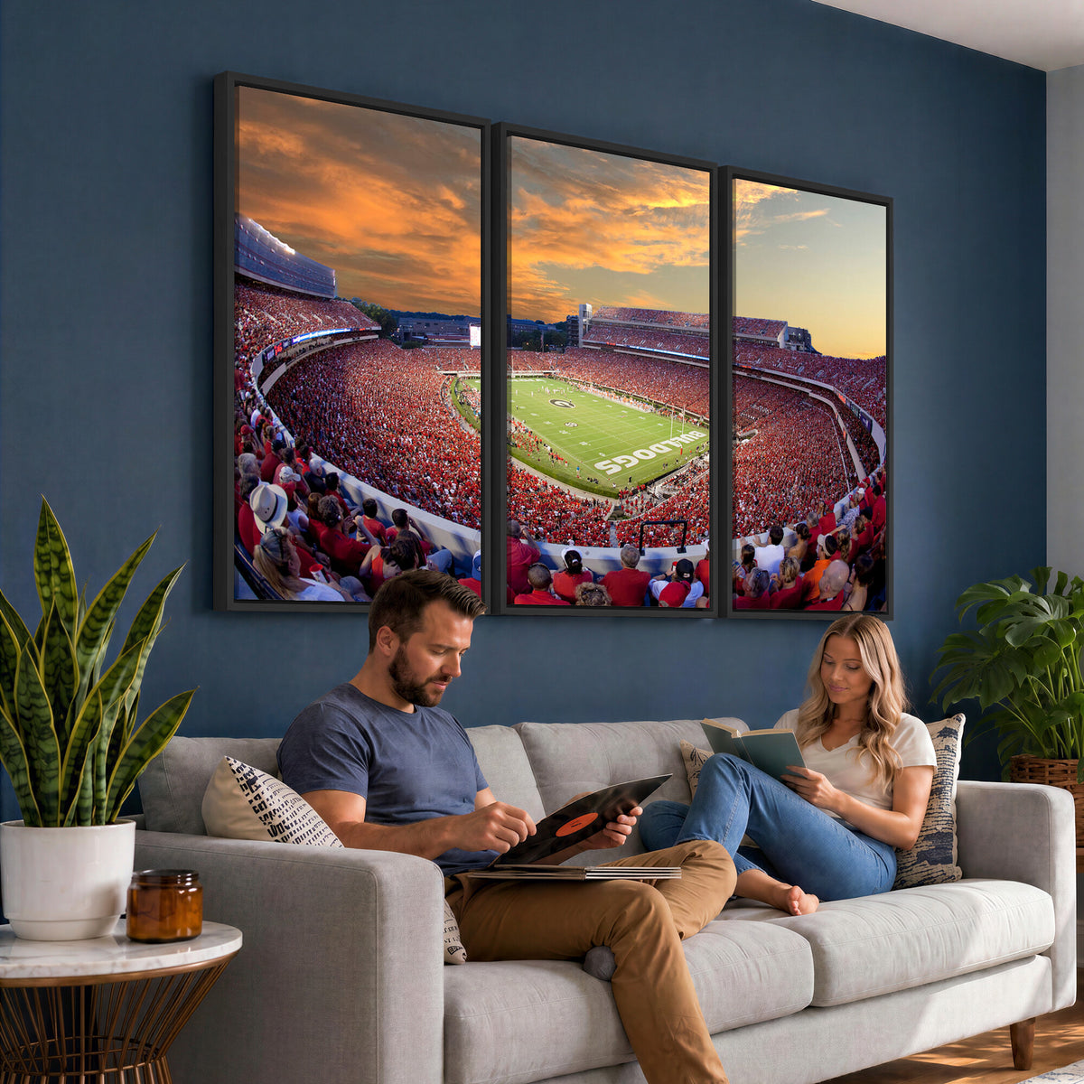 73680988-MGV-CV-36X24 - Dooley Stadium Wall Art, Sports Arena Canvas Print, Dooley Field, Framed and Ready to Hang