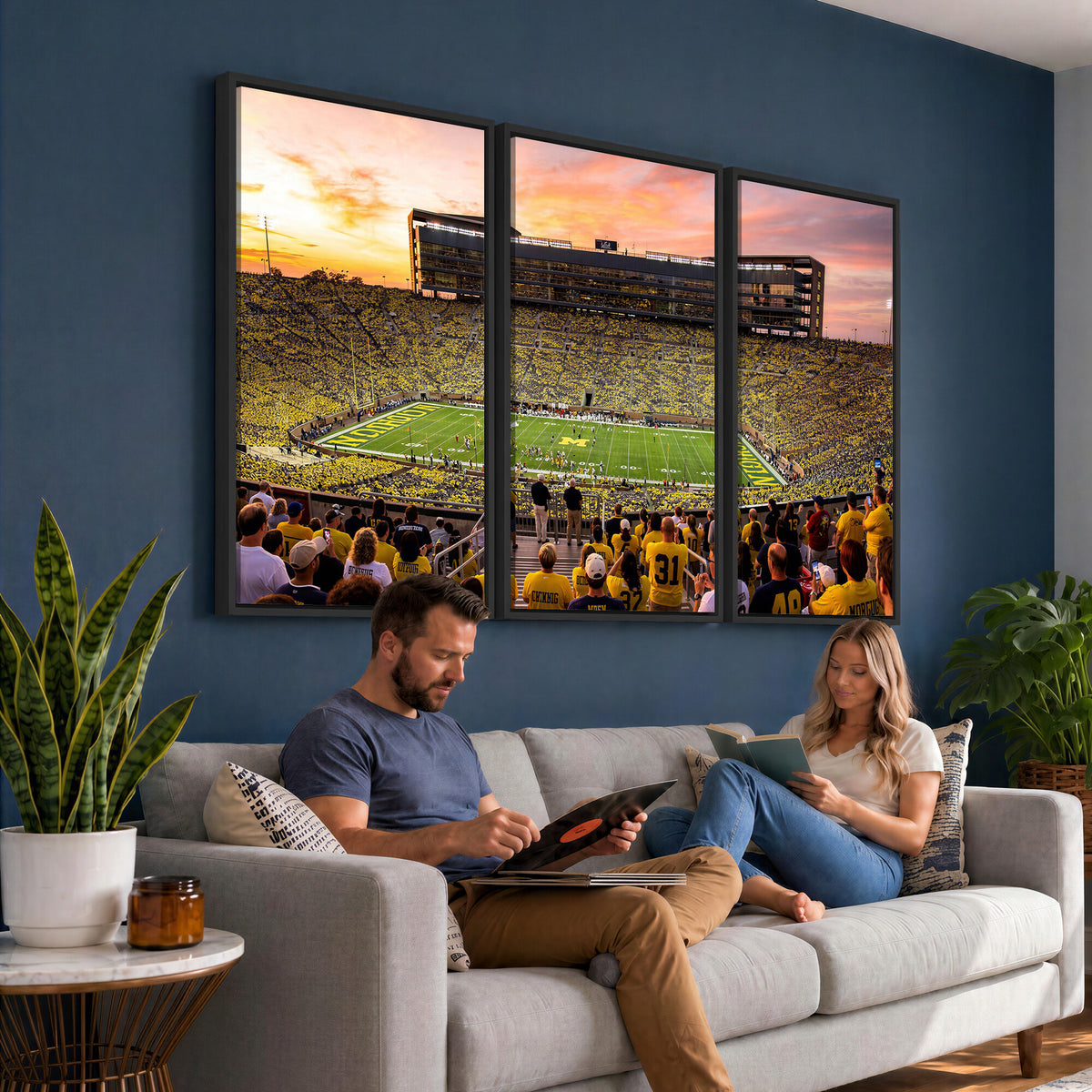 27265223-MGV-CV-36X24 - Stadium Wall Art Canvas Print