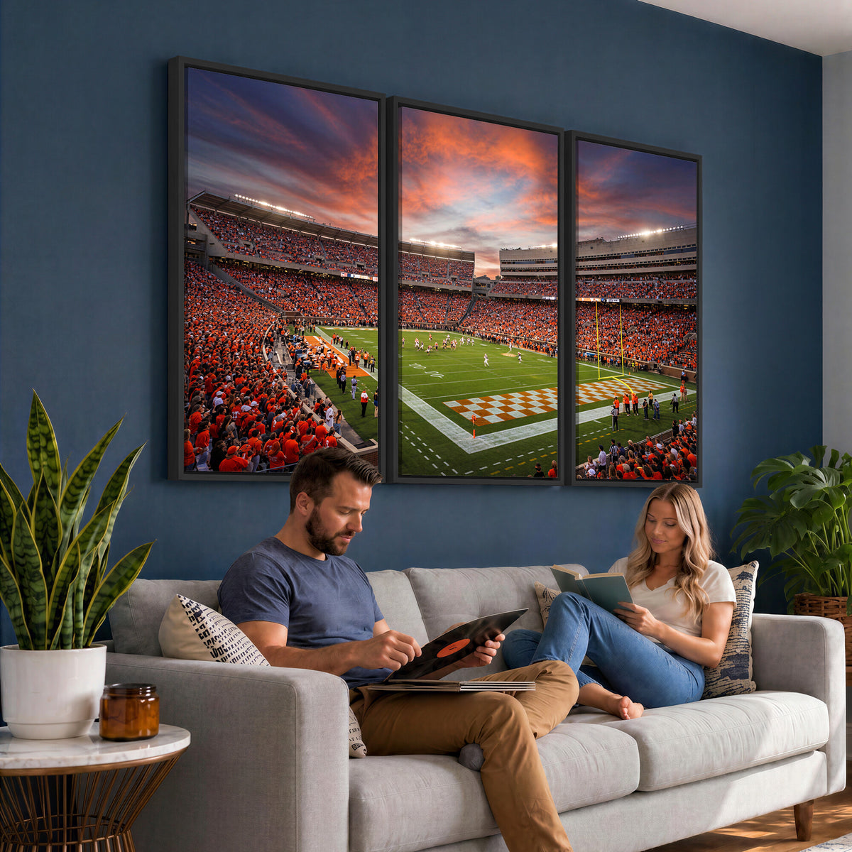 67648335-MGV-CV-36X24 - Stadium Wall Art Canvas Print