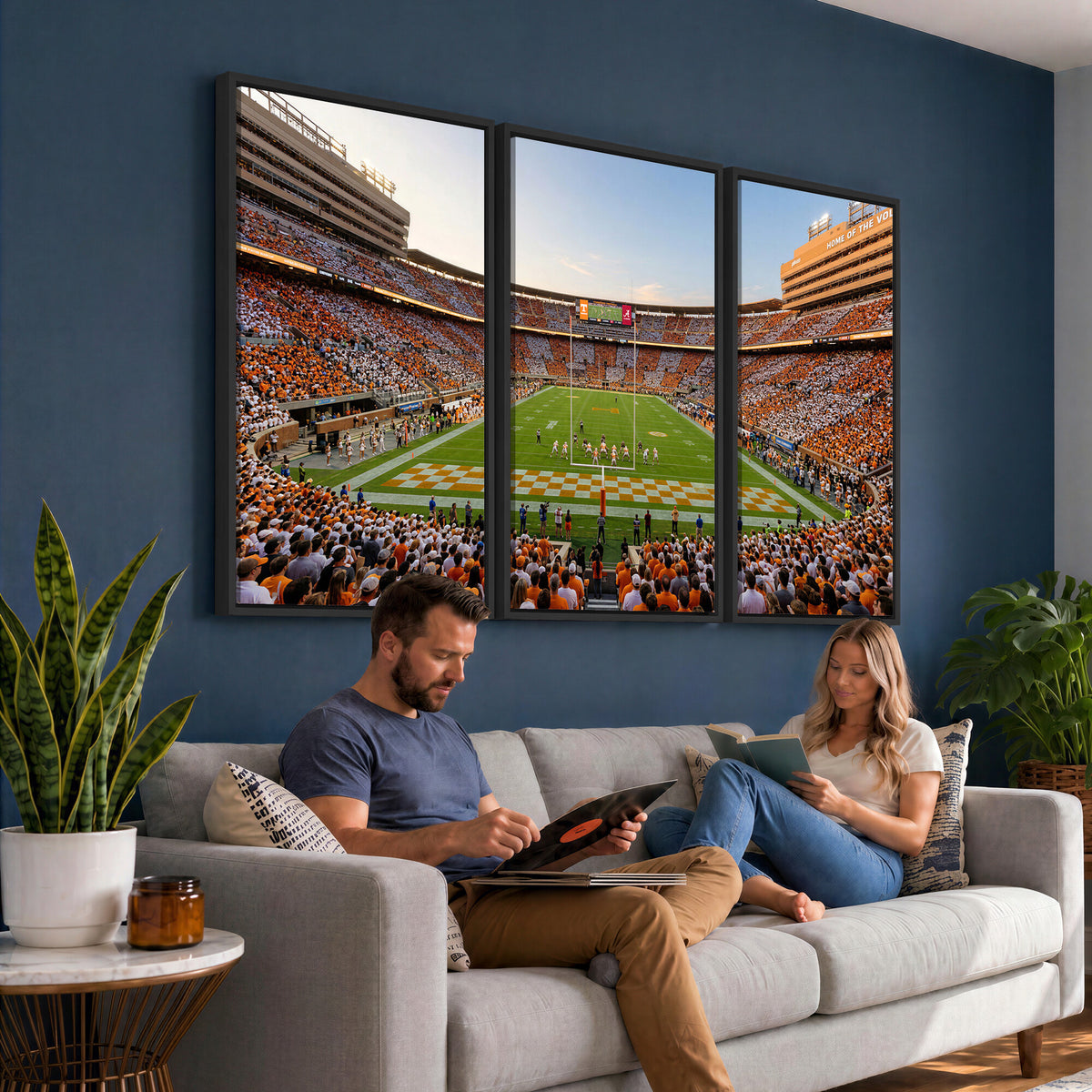 74509135-MGV-CV-36X24 - Stadium Wall Art Canvas Print
