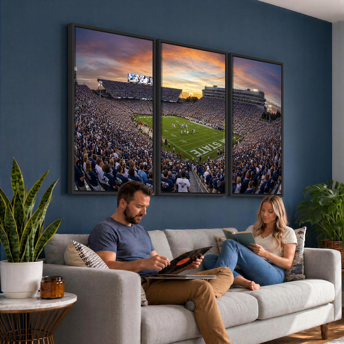 29008668-MGV-CV-36X24 - Stadium Wall Art Canvas Print
