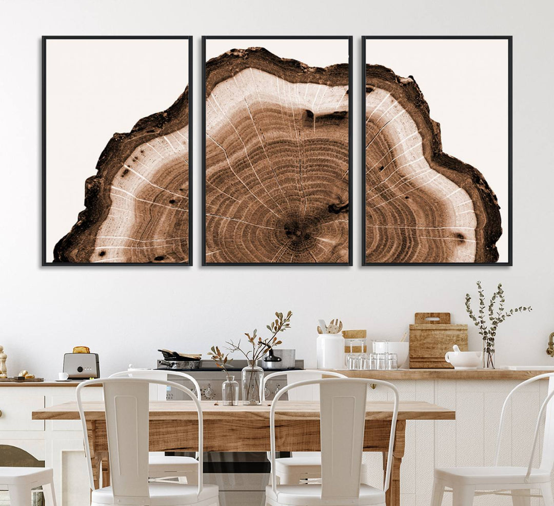 Close-up of the Rustic Wood Rings Wall Art featuring detailed tree rings and natural texture on a plain white background.