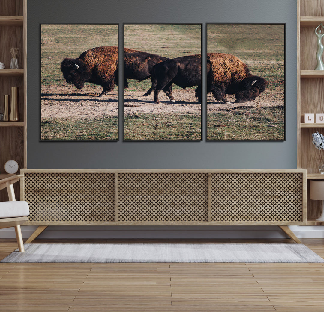 Bison Photography Wall Art Canvas Print, Framed Western Wildlife Art Picture Print, Modern Ranch Perfect Western Rustic Decor Artwork