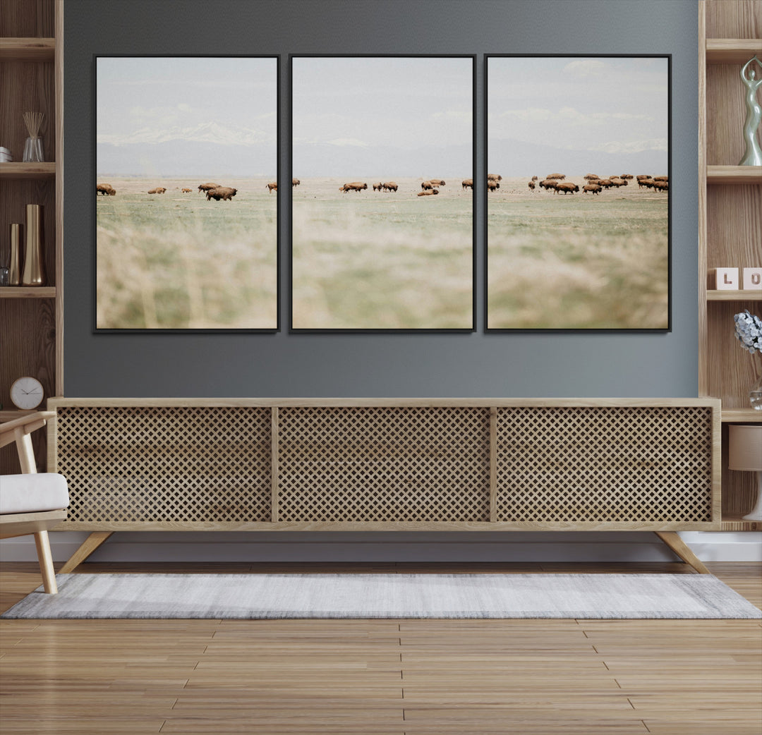 Bison Herd Wall Art Canvas Print, Framed Western Art Picture Print, Bison Perfect Ranch Decor Artwork
