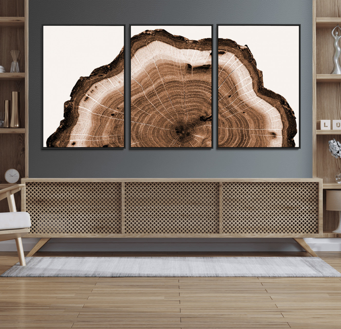 45195-MGV-FC-60X30-3P_Black-Rustic Wood Rings Wall Art | Nature-Inspired Tree Ring Canvas Print | Ready to Hang and Framed for