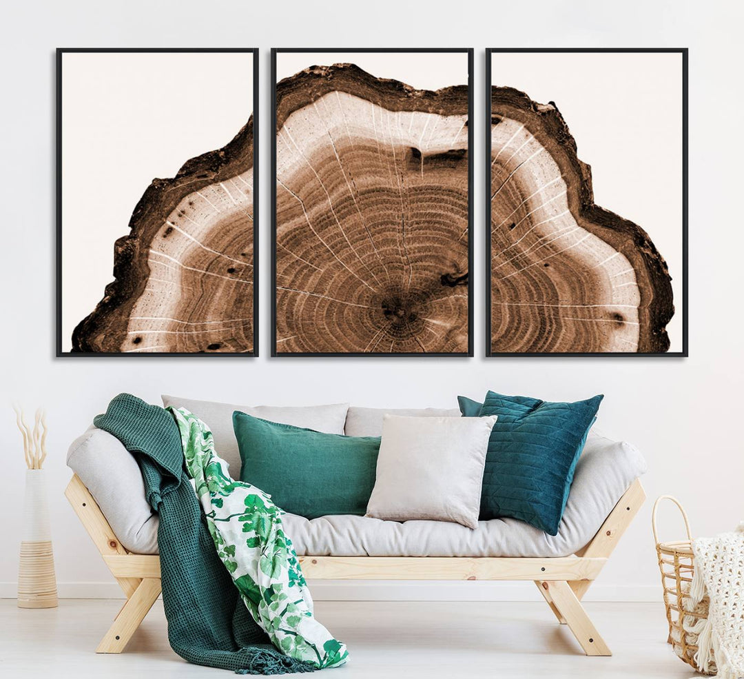 Close-up of the Rustic Wood Rings Wall Art featuring detailed tree rings and natural texture on a plain white background.