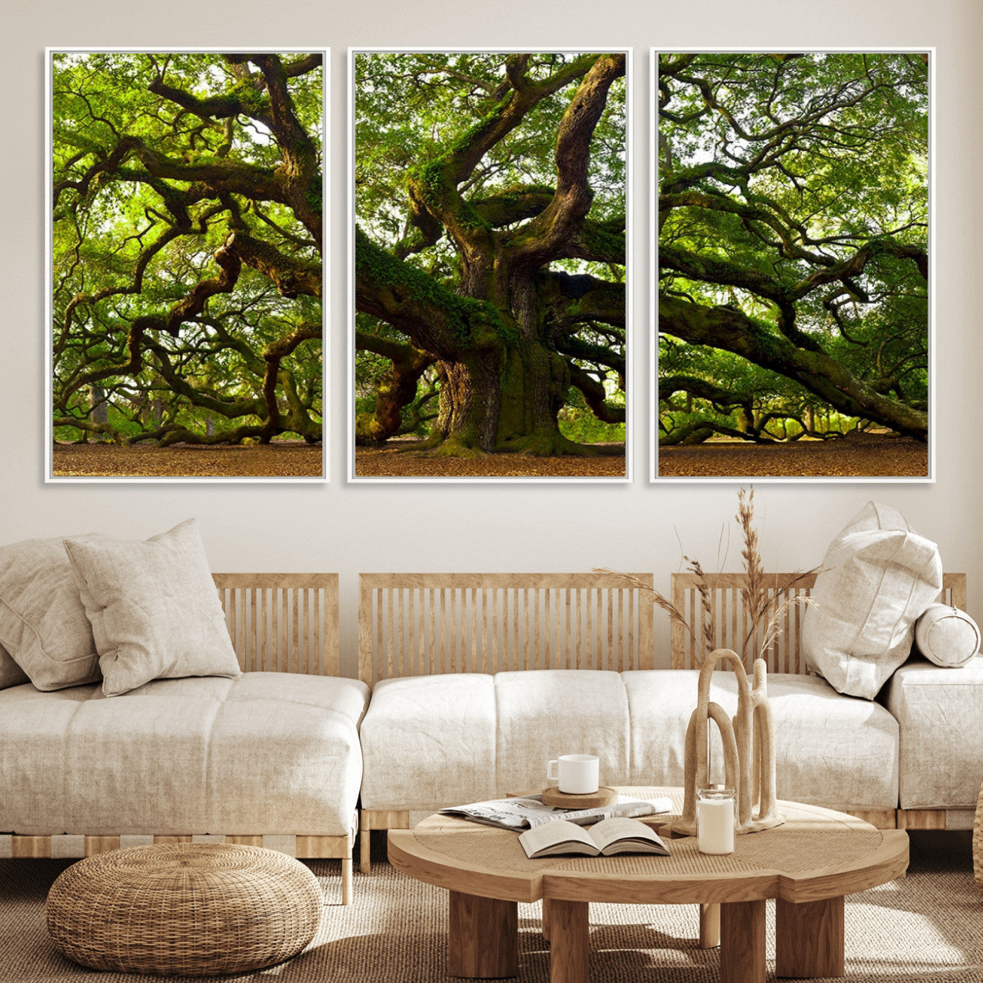 MGV-FC-60X30-3P - Angel Oak Tree Wall Art Canvas Print | Forest Tree Nature Photography Print on Canvas | Large Triptych Art for Living Room or Office Decor