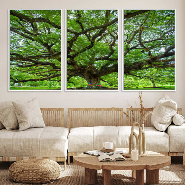Framed Angel Oak Tree print featuring sprawling branches and ribbons against a clear sky backdrop, ideal for home or office decor.