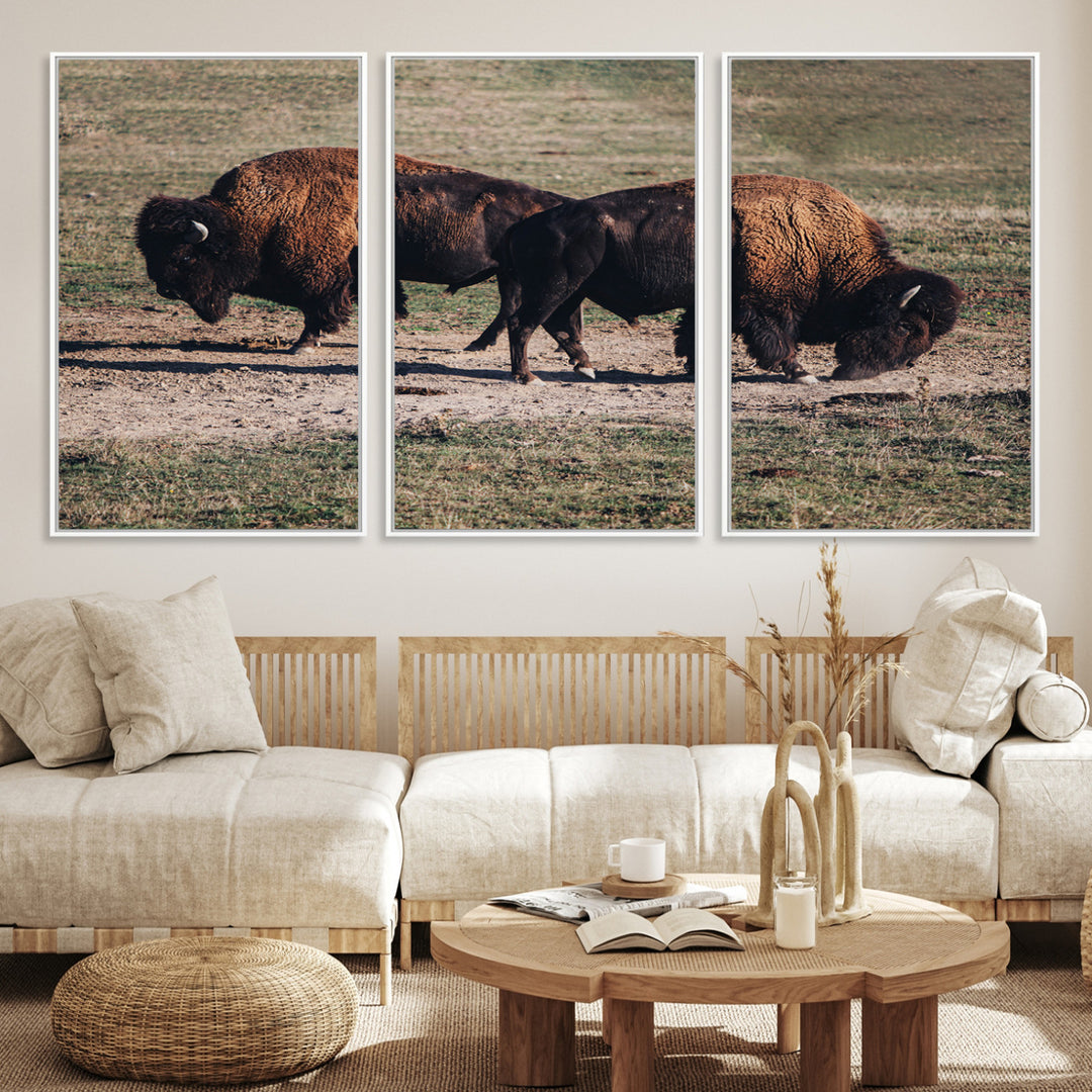 Bison Photography Wall Art Canvas Print, Framed Western Wildlife Art Picture Print, Modern Ranch Perfect Western Rustic Decor Artwork