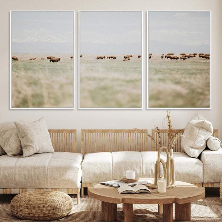 Bison Herd Wall Art Canvas Print, Framed Western Art Picture Print, Bison Perfect Ranch Decor Artwork