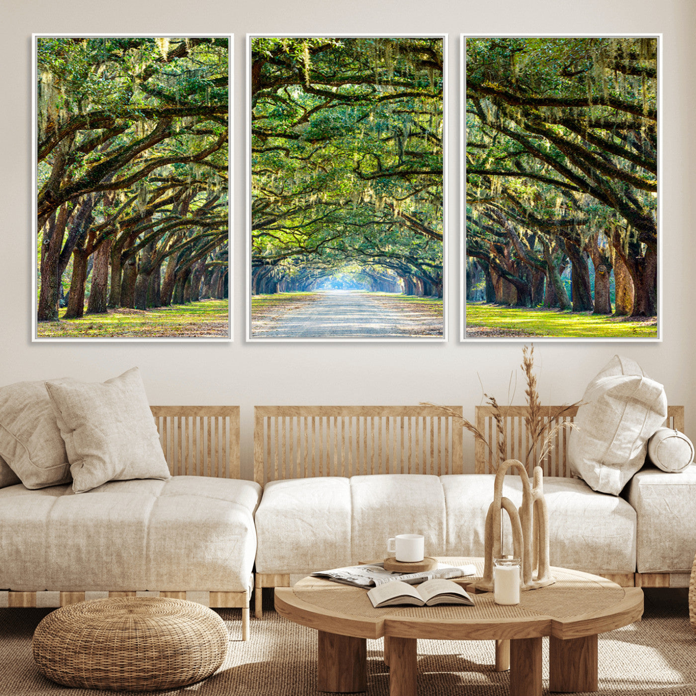 MGV-FC-60X30-3P - Wormsloe State Plantation Driveway Wall Art Canvas Print