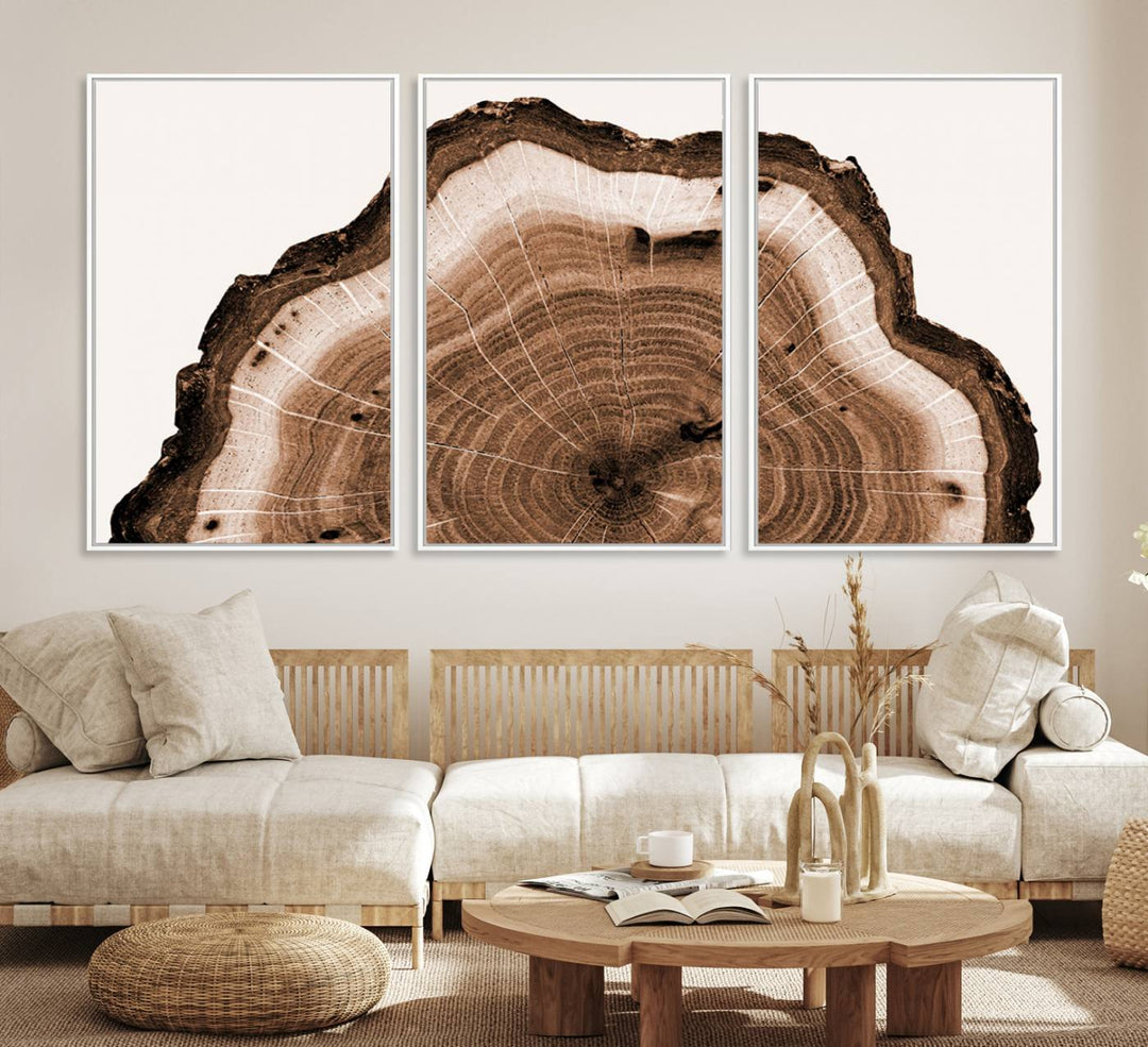 Close-up of the Rustic Wood Rings Wall Art featuring detailed tree rings and natural texture on a plain white background.