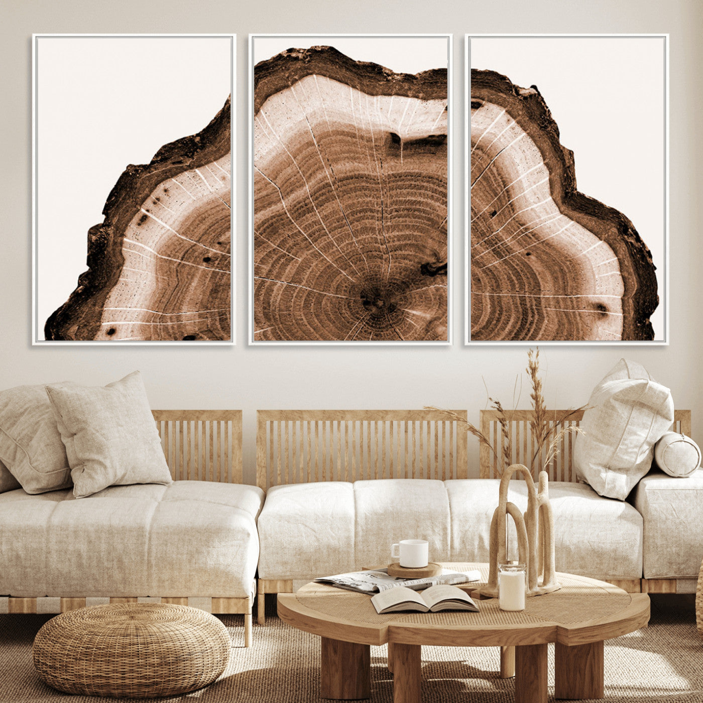 45195-MGV-FC-60X30-3P_White-Rustic Wood Rings Wall Art | Nature-Inspired Tree Ring Canvas Print | Ready to Hang and Framed for