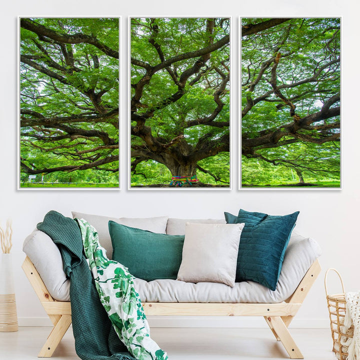 Framed Angel Oak Tree print featuring sprawling branches and ribbons against a clear sky backdrop, ideal for home or office decor.