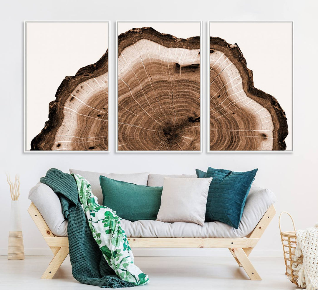 Close-up of the Rustic Wood Rings Wall Art featuring detailed tree rings and natural texture on a plain white background.