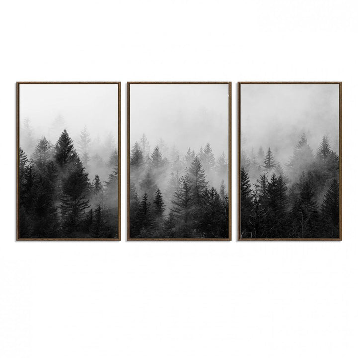 Fogy Forest Canvas Art features misty pines and a mountain landscape.