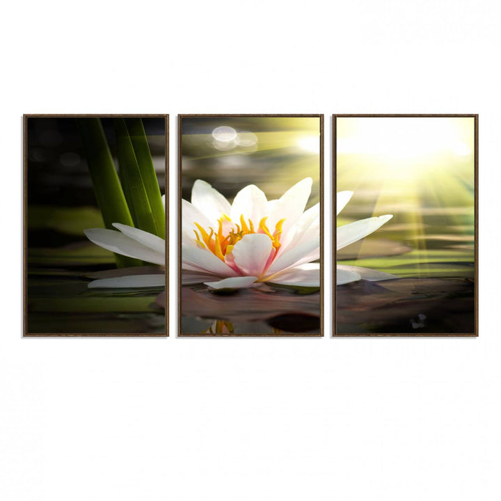 The Lotus Flower Wall Art Canvas Print showcases a white water lily with a yellow center floating gracefully in sunlight.