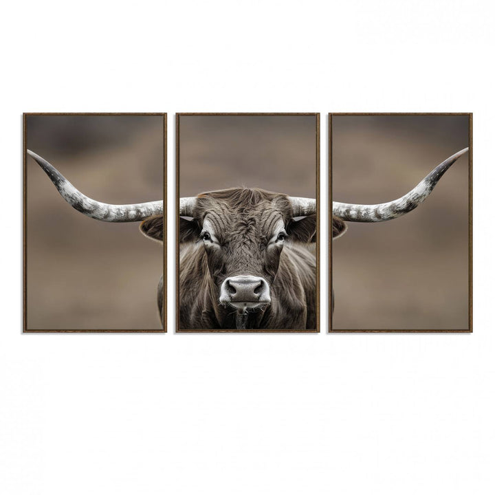 A close-up of a longhorn bull facing forward is featured in the Framed Texas Test-1, set against a blurred brown background.