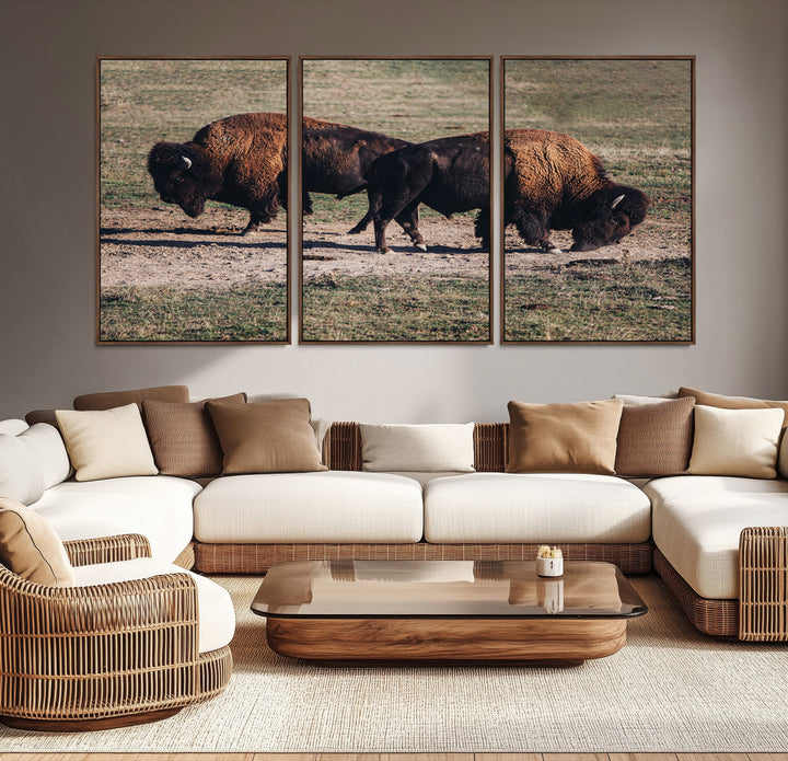 Bison Photography Wall Art Canvas Print, Framed Western Wildlife Art Picture Print, Modern Ranch Perfect Western Rustic Decor Artwork