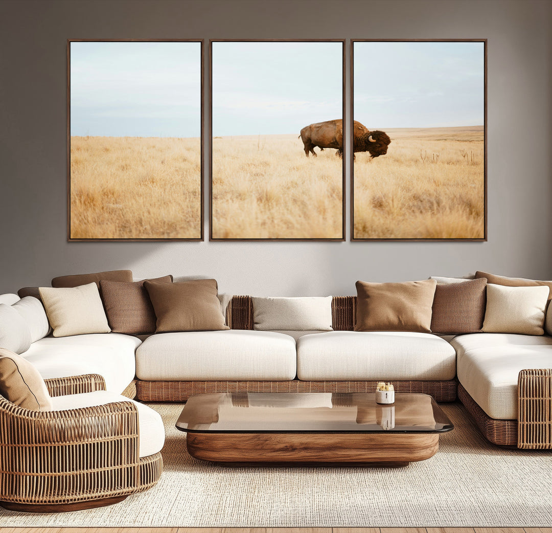 A lone bison standing in a vast golden grassland under a soft blue sky, evoking a rustic and Western aesthetic, ideal for farmhouse decor.
