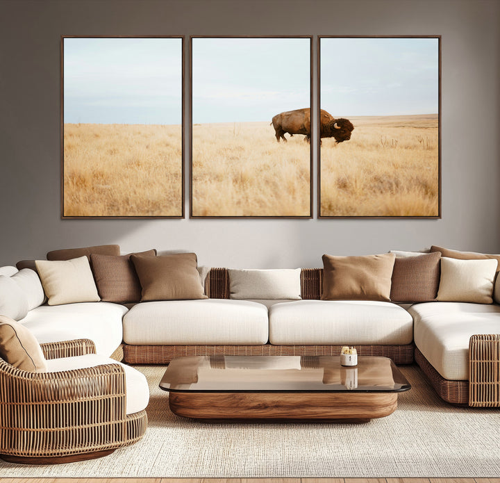 A lone bison standing in a vast golden grassland under a soft blue sky, evoking a rustic and Western aesthetic, ideal for farmhouse decor.