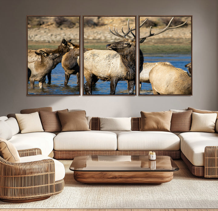 Group of elk standing in shallow water with dry rocky terrain in the background, showcasing wildlife in a natural setting for rustic decor.