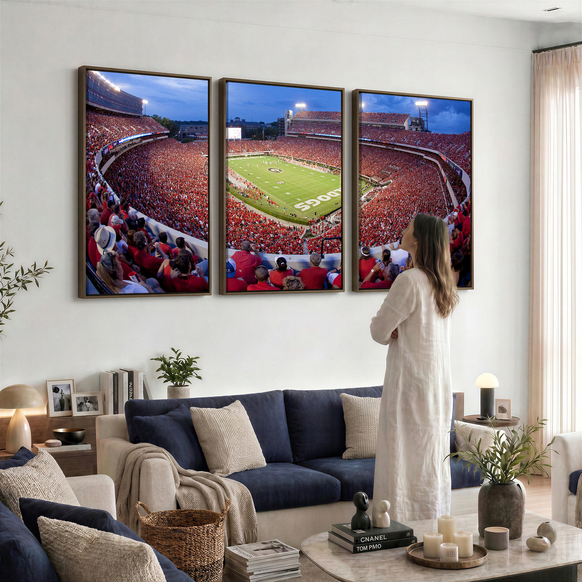 10244378-MGV-CV-36X24 - Dooley Stadium Wall Art, Sports Arena Canvas Print, Dooley Field, Home Bar Wall Decor