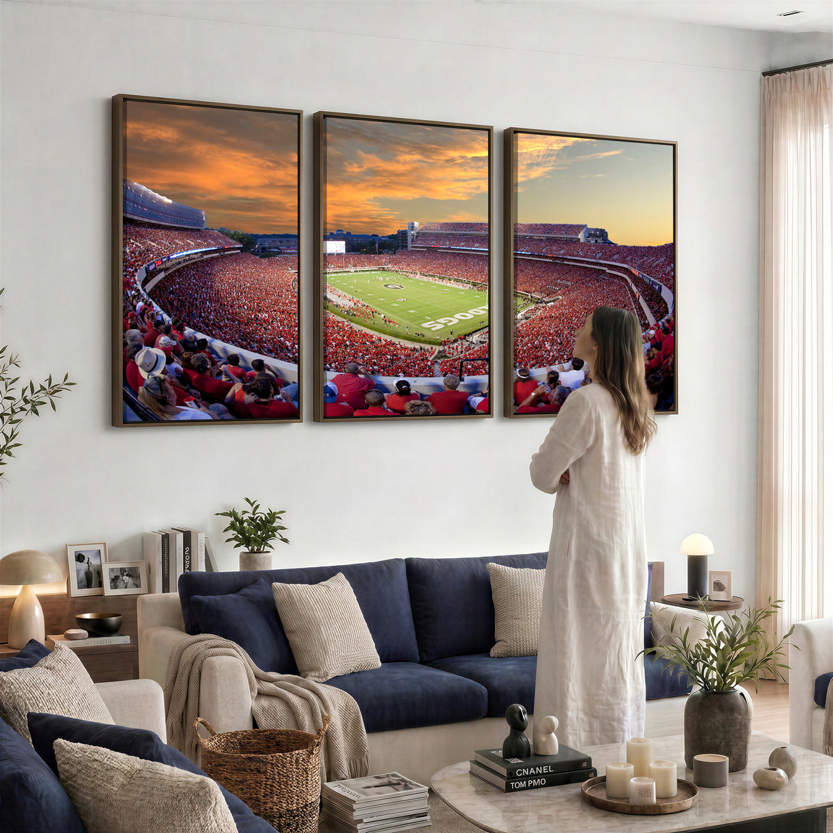 73680988-MGV-CV-36X24 - Dooley Stadium Wall Art, Sports Arena Canvas Print, Dooley Field, Framed and Ready to Hang