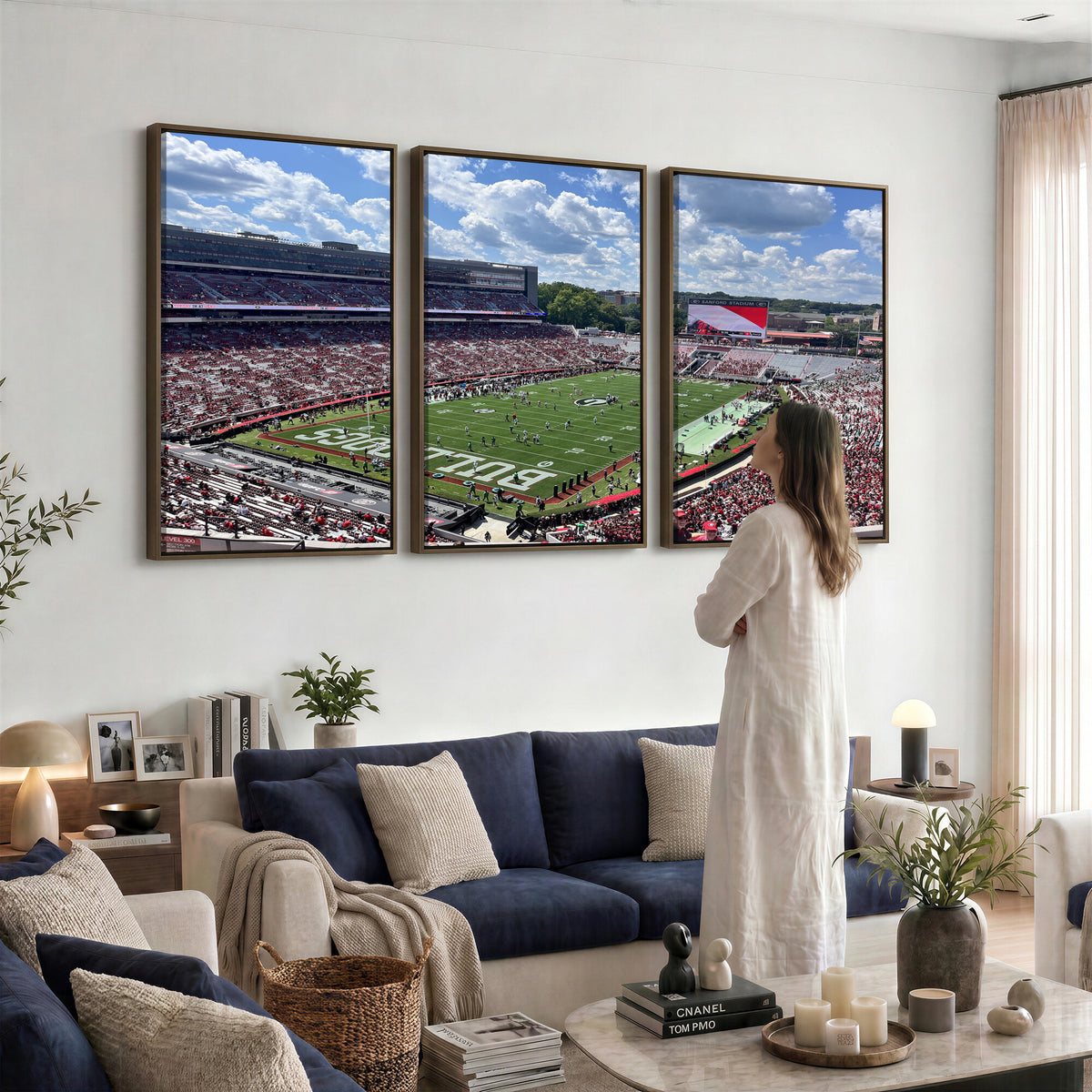 10665453-MGV-CV-36X24 - Georgia Bulldogs Stadium Wall Art Canvas Print, Sanford, Framed and Ready to Hang