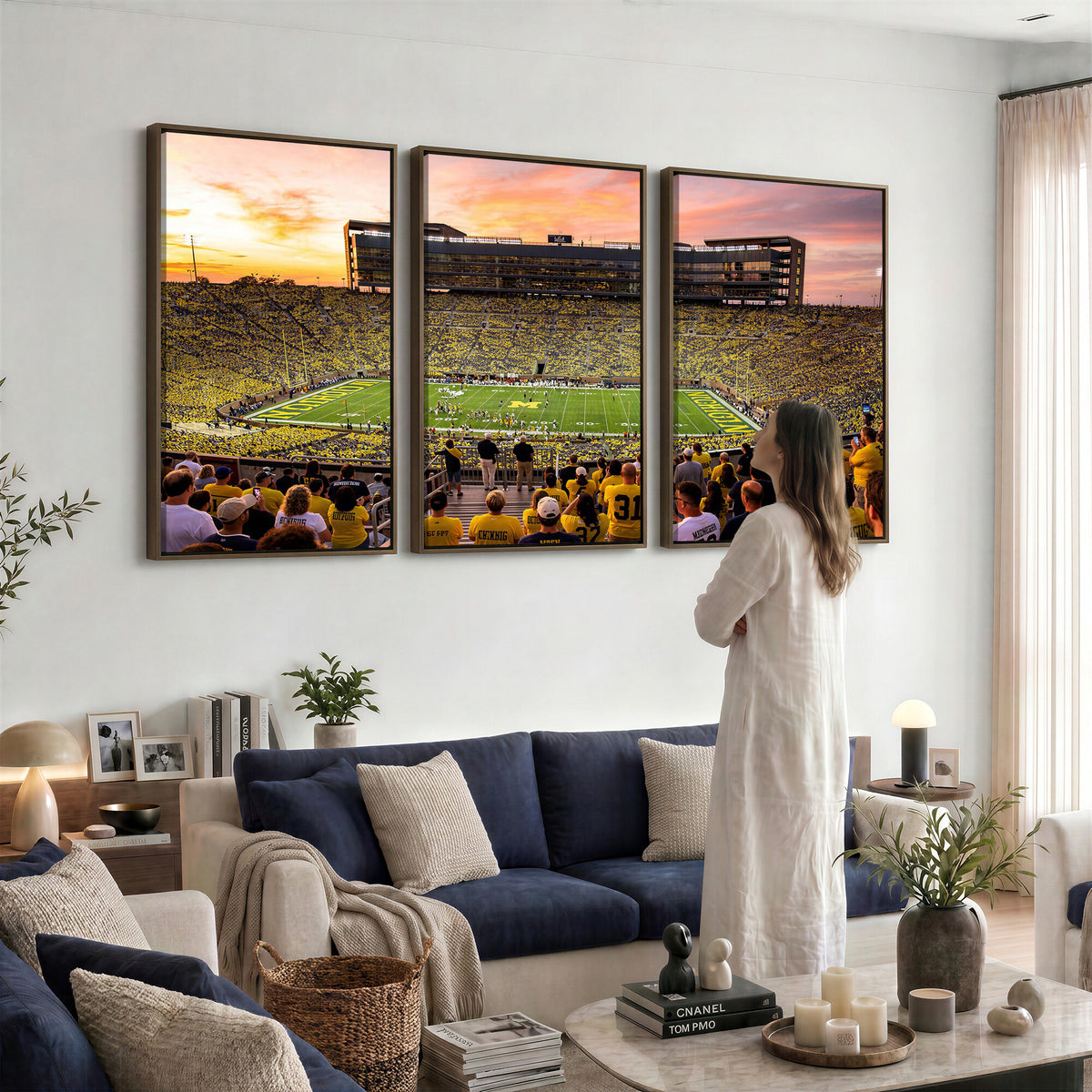 27265223-MGV-CV-36X24 - Stadium Wall Art Canvas Print