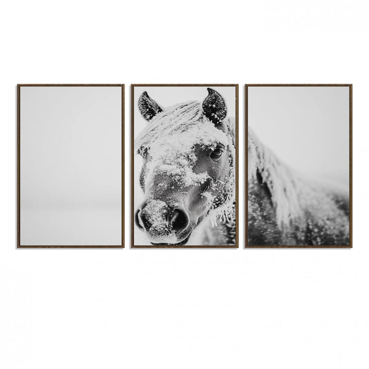 White Horse Wall Art: A black and white photo of a snow-covered horse, framed and ready to hang for farmhouse decor.