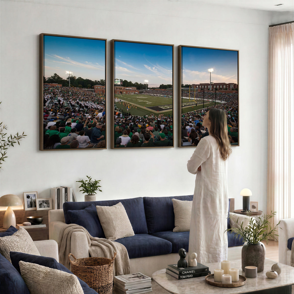 12290-MGV-CV-36X24 - University of Charlotte 49ers Football Team Print - Charlotte Jerry Richardson Stadium Wall Art