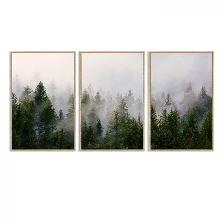 A serene, foggy evergreen forest creates a mysterious atmosphere, ideal for premium canvas wall art.