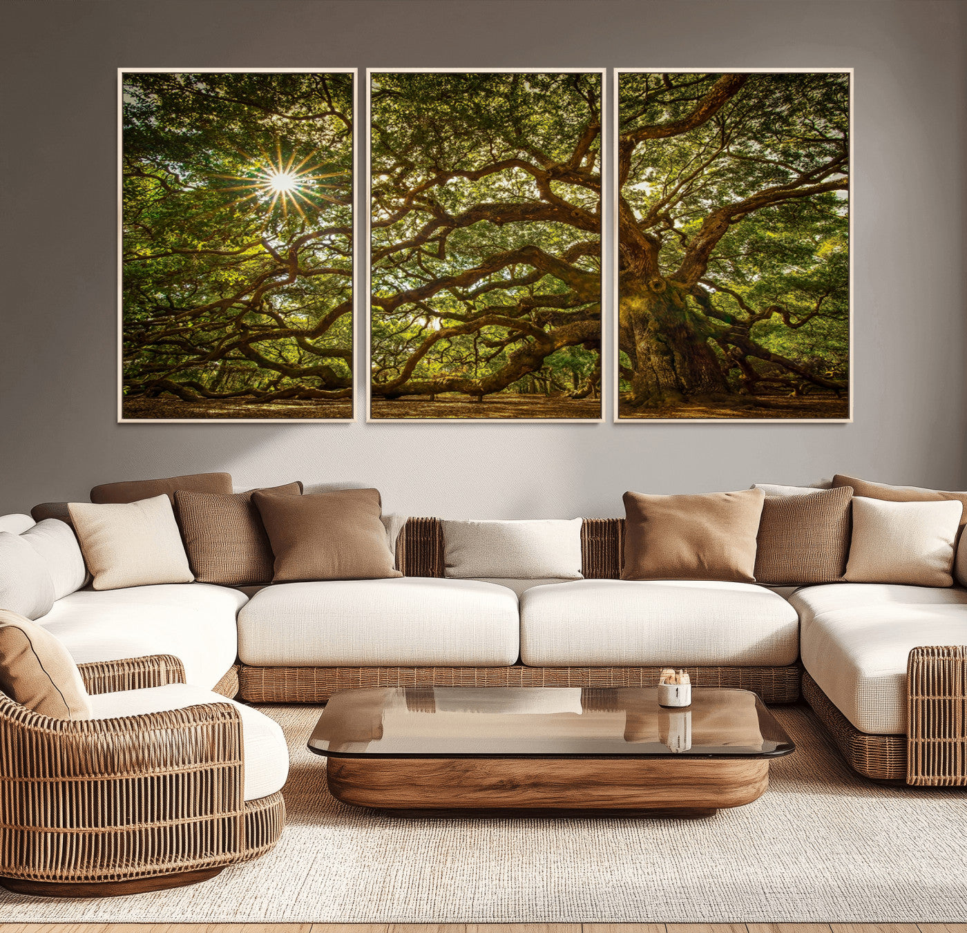 MGV-FC-60X30-3P - Ancient Angel Oak Tree Art Sunburst Canvas Print- Nature-Inspired Triptych Canvas Print, Framed,