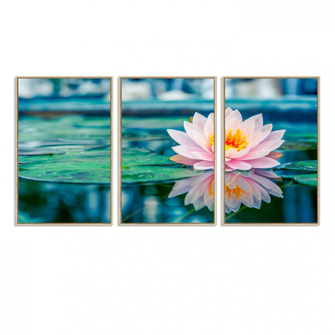 The Lotus Flower Canvas Print showcases a pink water lily with a yellow center gracefully floating on a calm pond.